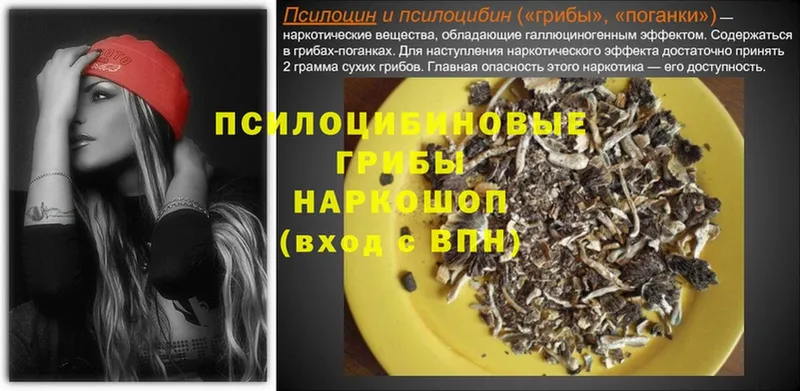 купить наркотик  МЕГА ТОР  Галлюциногенные грибы GOLDEN TEACHER  Карачев 